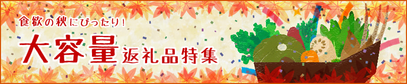 大容量返礼品
